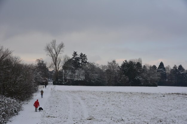 Man skiing on field against sky during winter