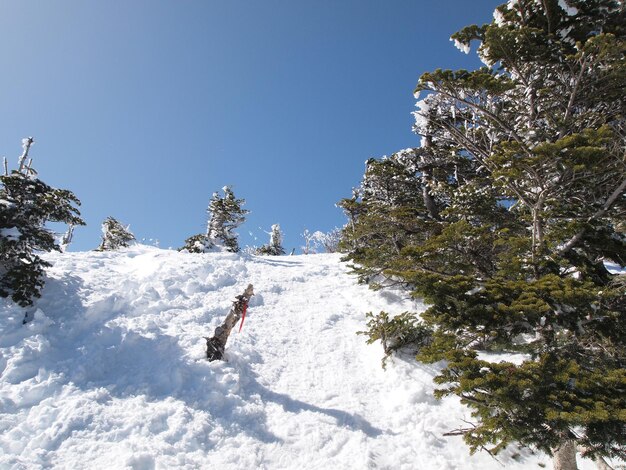 Man skiing on snowcapped mountain against sky