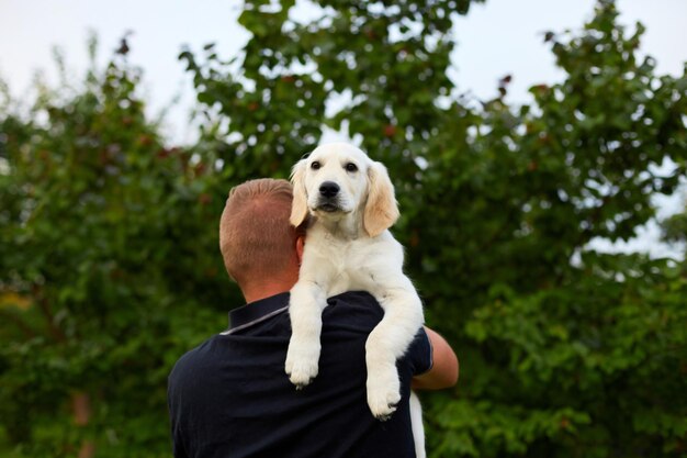 写真 夏に屋外で遊び心のあるゴールデンレトリバーの子犬を抱きながら微笑む男性