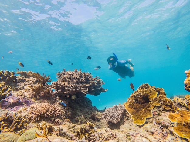 사진 부드러운 산호와 열대어가 있는 암초에서 수중 스노클링을 하는 남자
