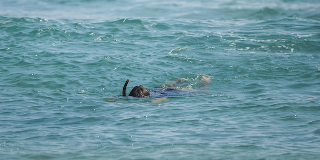 Man snorkelt in de oceaan tijdens zomervakantie