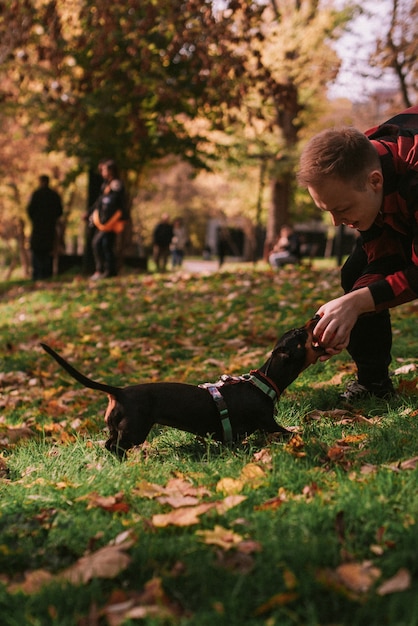 Man speelt met hond in het park