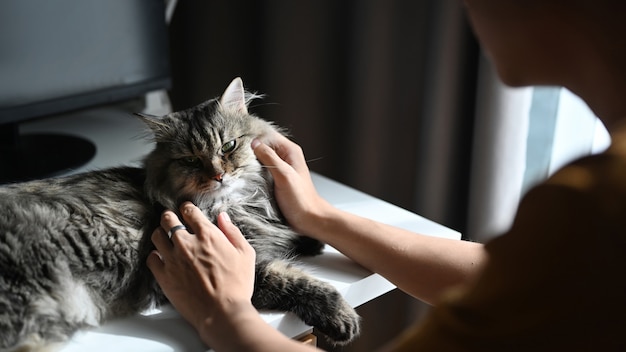 Foto man speelt met zijn kat in de woonkamer.