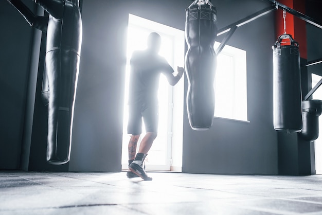 Man in sportive clothes training boxing in the gym with pushing bags. Illuminated by light.