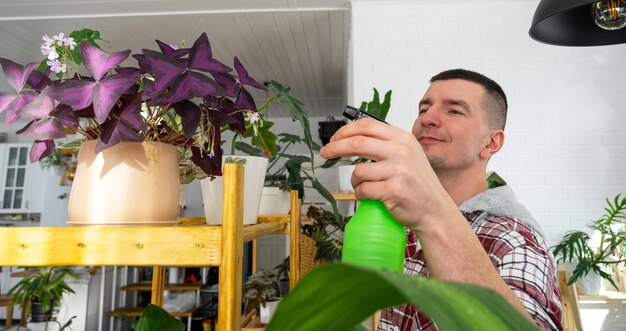 Мужчина опрыскивает из пульверизатора домашние растения из своей коллекции, выращенные с любовью на полках в интерьере дома Домашнее растениеводство теплица водный баланс увлажнение дома