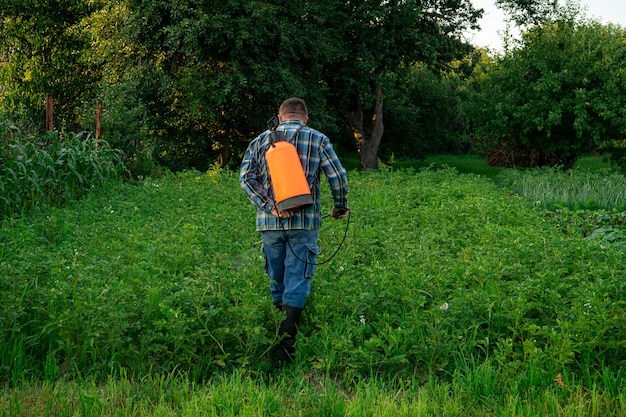 男が庭の害虫から植物を噴霧します。