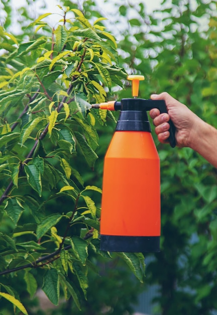 Photo a man sprays trees in the garden selective focus