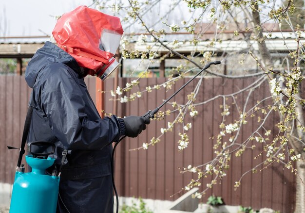 Man spuit pesticiden op bloeiende bomen in de achtertuin. Ongediertebestrijding