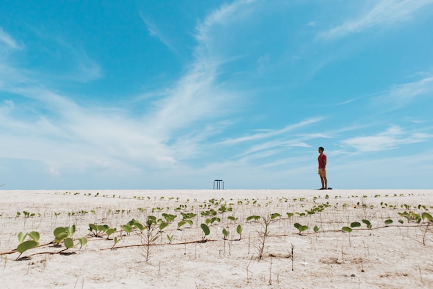 Man stand on white sand beach.