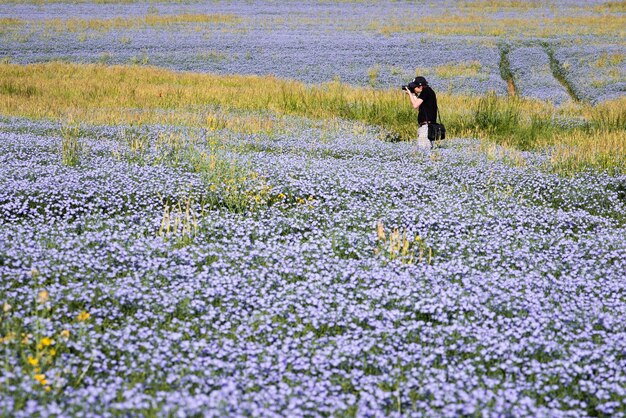 Man standing amidst flowerbed