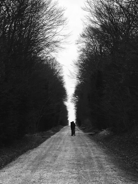 Photo man standing amidst trees on road