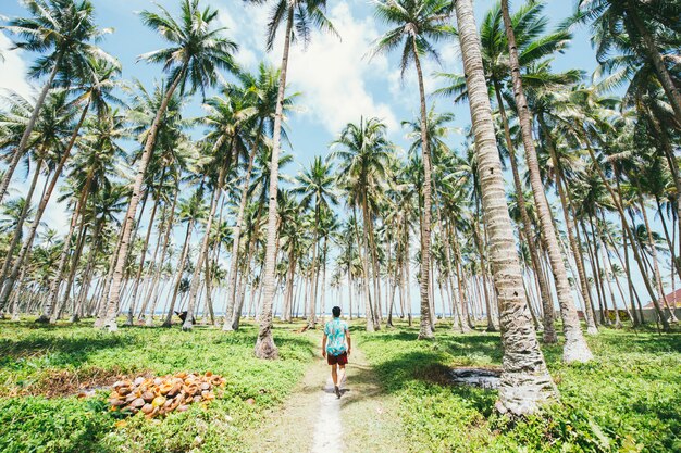 Man standing on the beach and enjoying the tropical place with a view. caribbean sea colors and palm trees in the background. Concept about travels and lifestyle