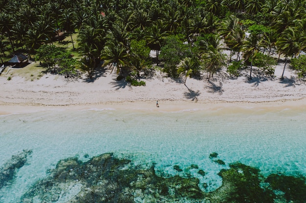 ビーチに立って、景色を眺めながら熱帯の場所を楽しんでいる男。カリブ海の色とヤシの木。旅行とライフスタイルについての概念