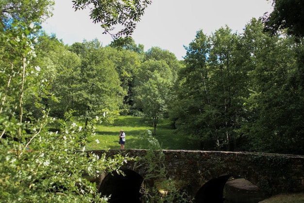 Foto uomo in piedi accanto agli alberi