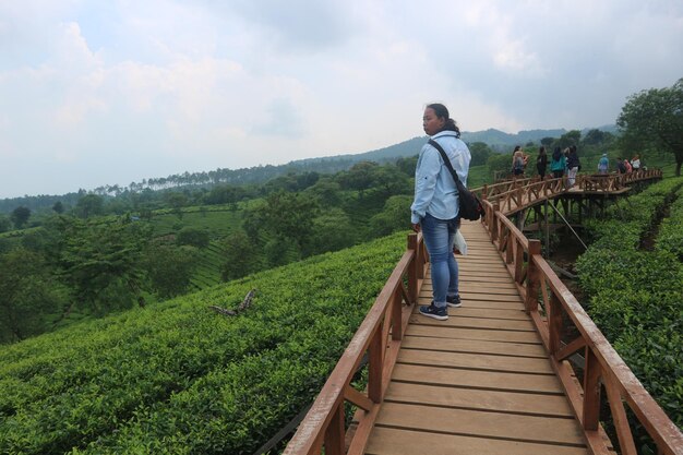 Man standing on footbridge against sky