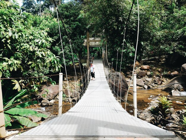 Photo man standing on footbridge over river in forest