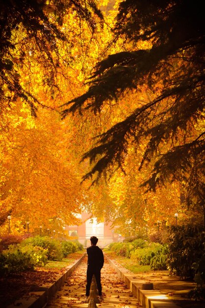 Foto uomo in piedi sul sentiero nella foresta durante l'autunno