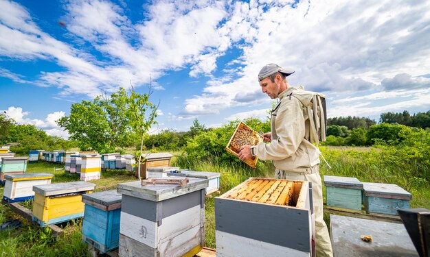 A man standing in front of a bunch of bees