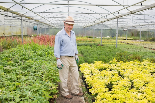 Man standing in greenhouse