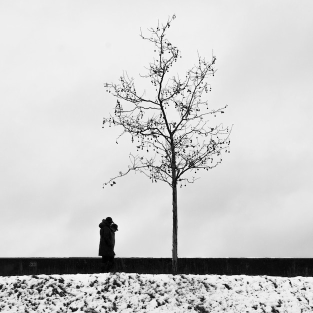 写真 空に向かって野原に立っている男