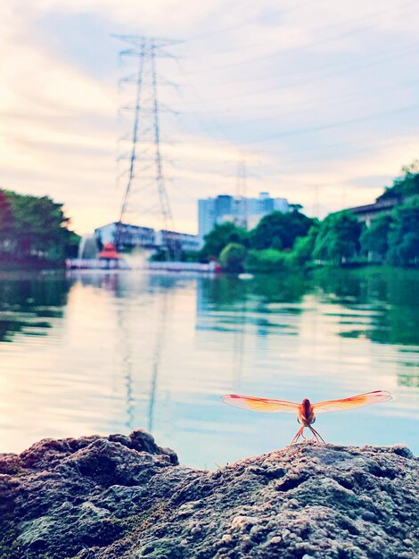 Man standing on rock by lake against sky