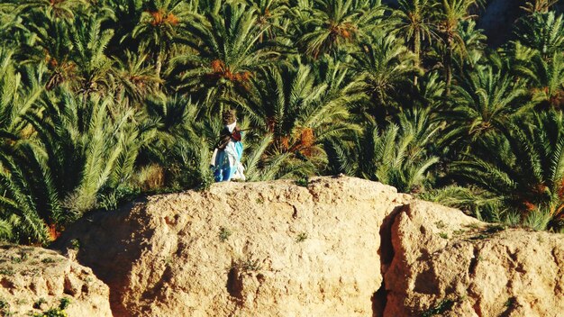 Foto uomo in piedi sulla roccia vicino alle palme