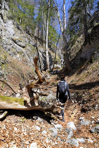 Photo man standing on rock in forest