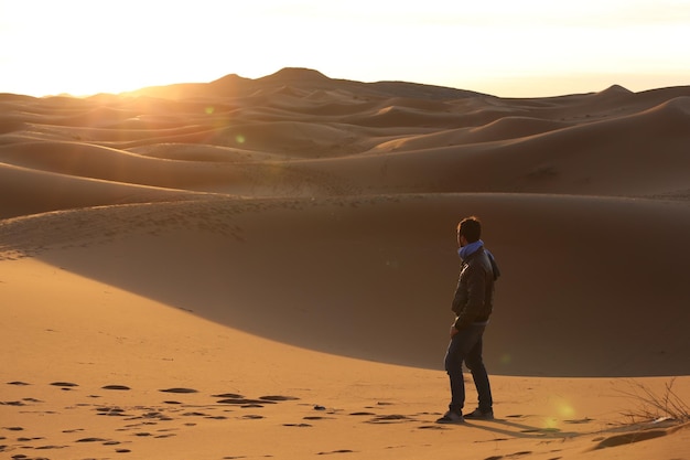 Where To Find The Best Desert Safari Near Me In Dubai