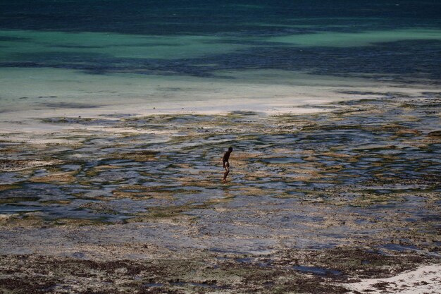Foto uomo in piedi sulla riva della spiaggia