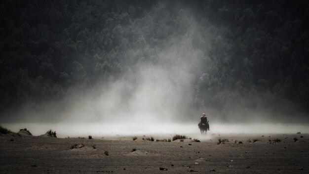 Photo man standing on shore