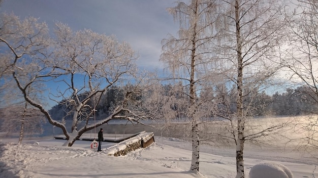 公園の裸の木のそばで雪の上に立っている男