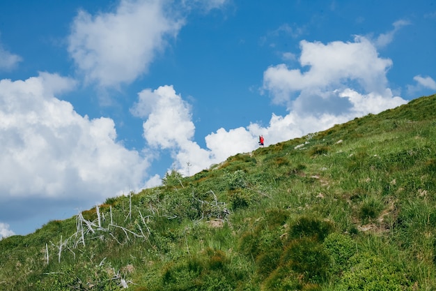 Man standing on the top of the hill in summer 