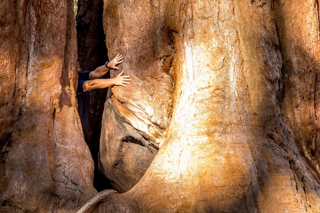 Foto uomo in piedi sul tronco di un albero