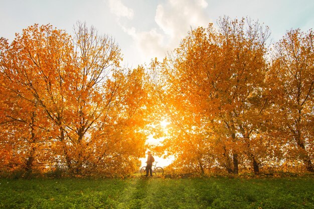 写真 秋の木の向こうの畑で自転車に乗って立っている男