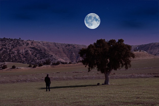 A man stands in a field under a full moon.