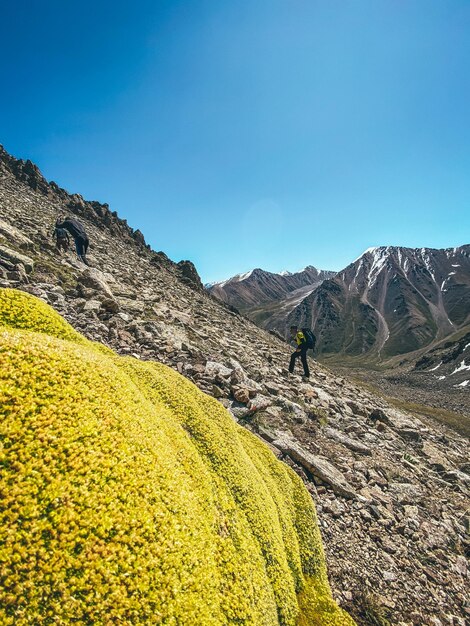 Photo a man stands on a mountain with a yellow flower in the foreground.