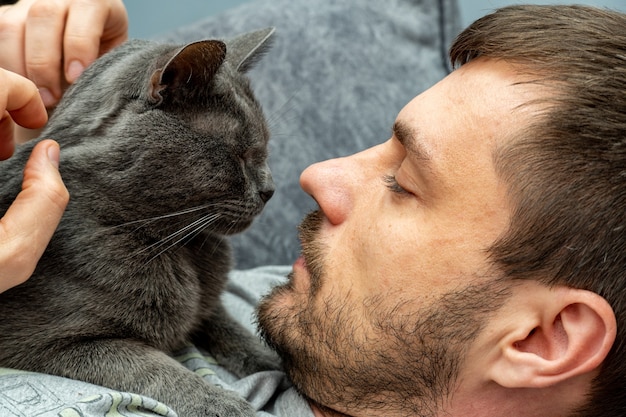 Foto uomo che accarezza l'animale domestico, gatto grigio con le mani