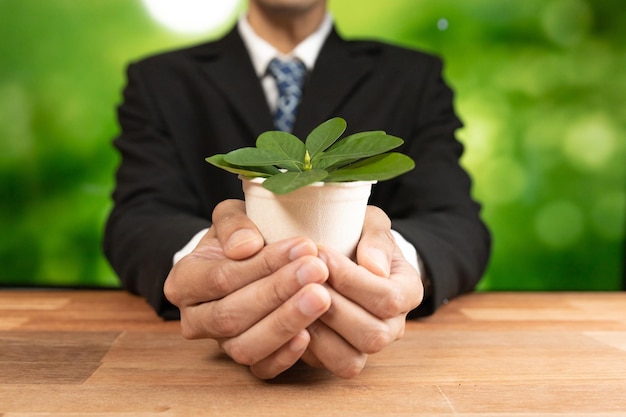 A man in a suit holds a plant in his hands.