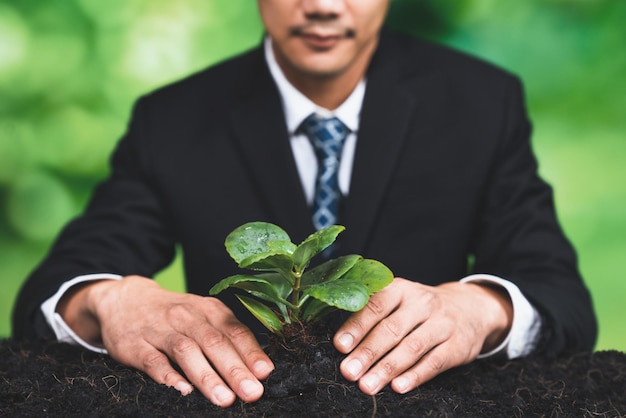 A man in a suit holds a small plant in front of a green background.