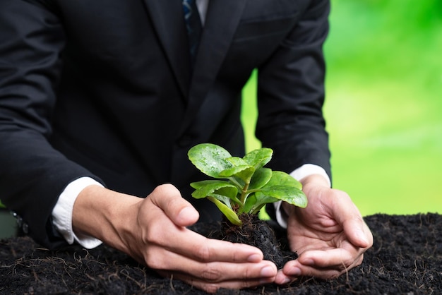 A man in a suit holds a small plant in the soil.