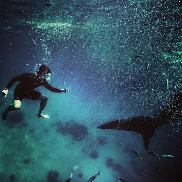 Foto uomo che nuota in mare