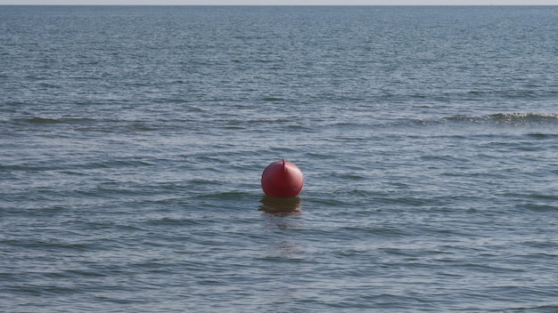 Photo man swimming in sea