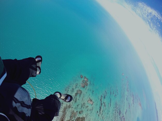 Dive Bliss Legal Trends Insights Dive Bliss Legal Trends Insights
