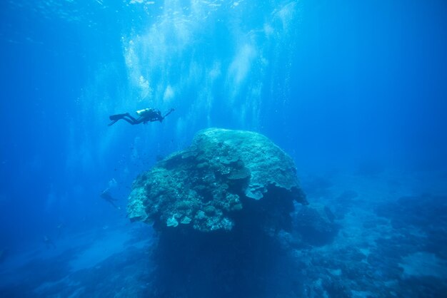 Man swimming in sea