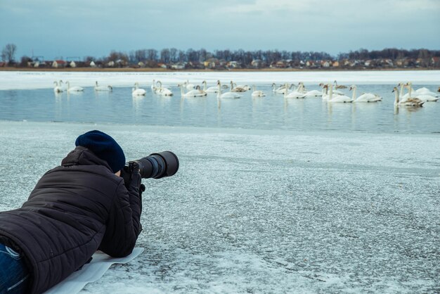 Photo man take picture of swans on winter lake