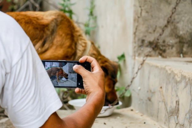 Мужчина фотографирует своим мобильным телефоном собаку, которая ест