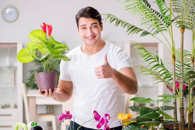 自宅で植物の世話をする男