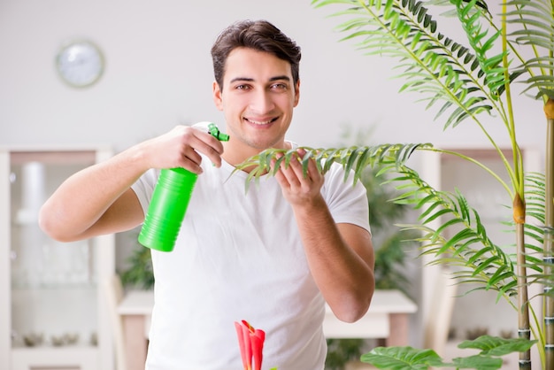 自宅で植物の世話をする男