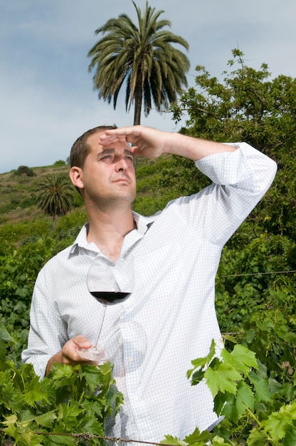 Мужчина пробует вино из погребов на винограднике