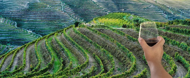 Man toasting with a glass of port wine over the terraces of vineyards in the Douro Valley Regua Portugal Gastronomic travel concept